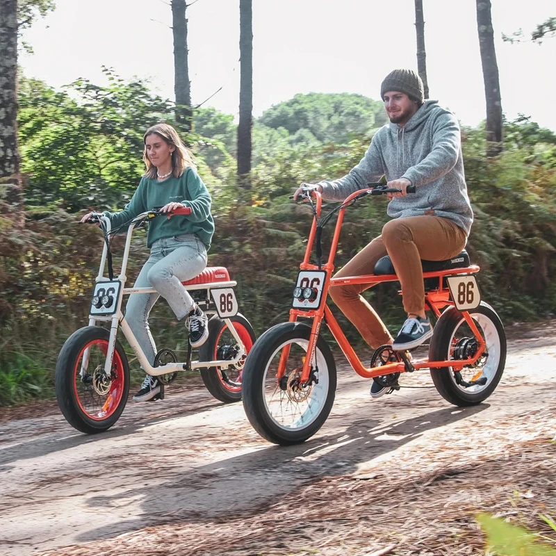 retro big saddle electric mountain bicycle hot sale fashion factory outlet cheap price good quality Multipurpose Electric Bike