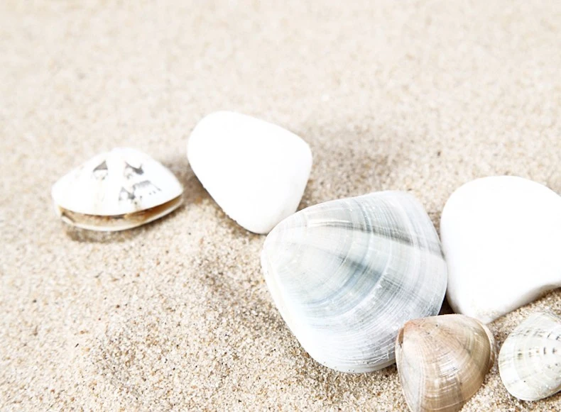 Philippine sand, shell sand, coral sand used for aquarium landscaping filtration