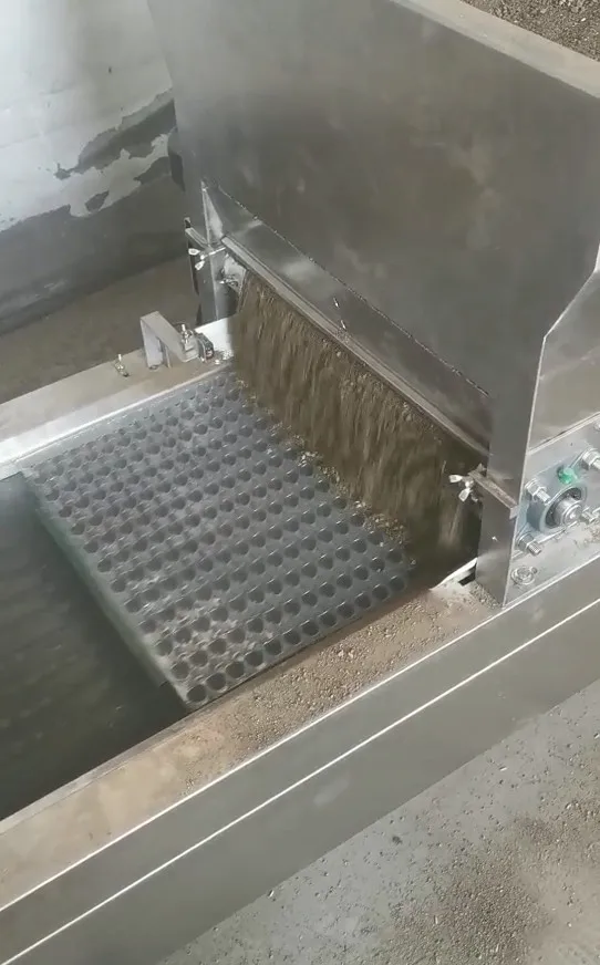 automated needle seeder for  rice seeds with high productivity 800 trays per hour exported to Europe and Middle East