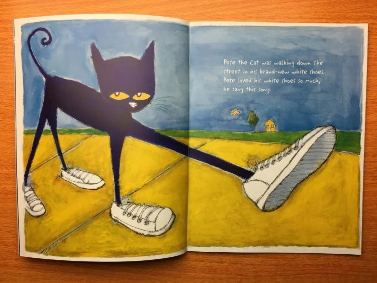  12 Book/Set I Can Read The Pete Cat English Picture Story Book Educactional Toys For Children Pocket Reading