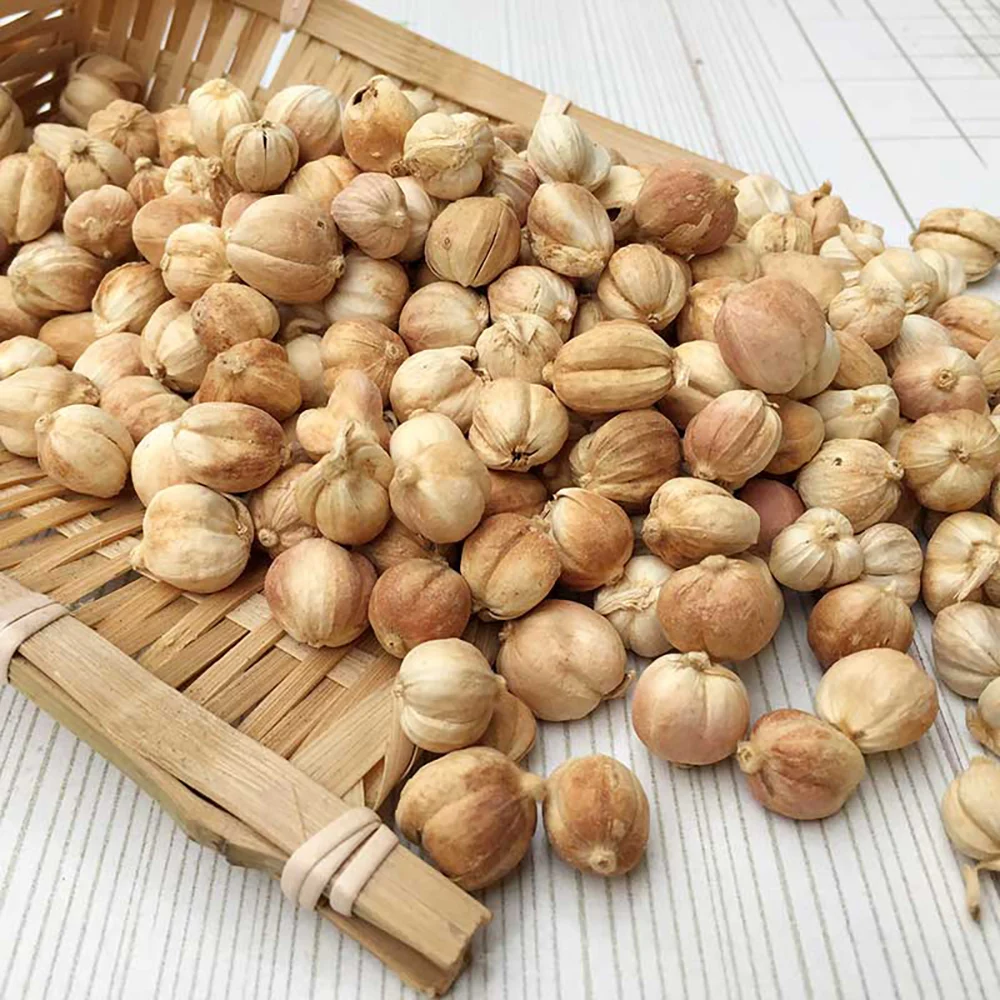 round cardamom cardamun nutmeg exporters Cardamine elettaria cardamomum organic