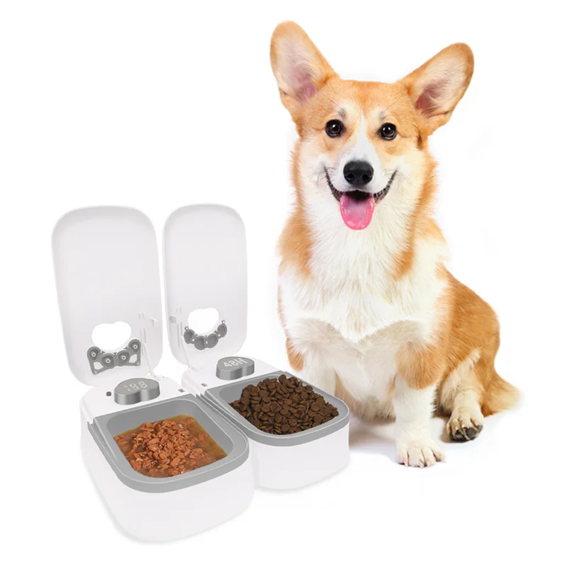 Factory Supply Automatic Cat Feeder Smart Cat Food Dispenser With Timer Setting Auto Dog Feeder