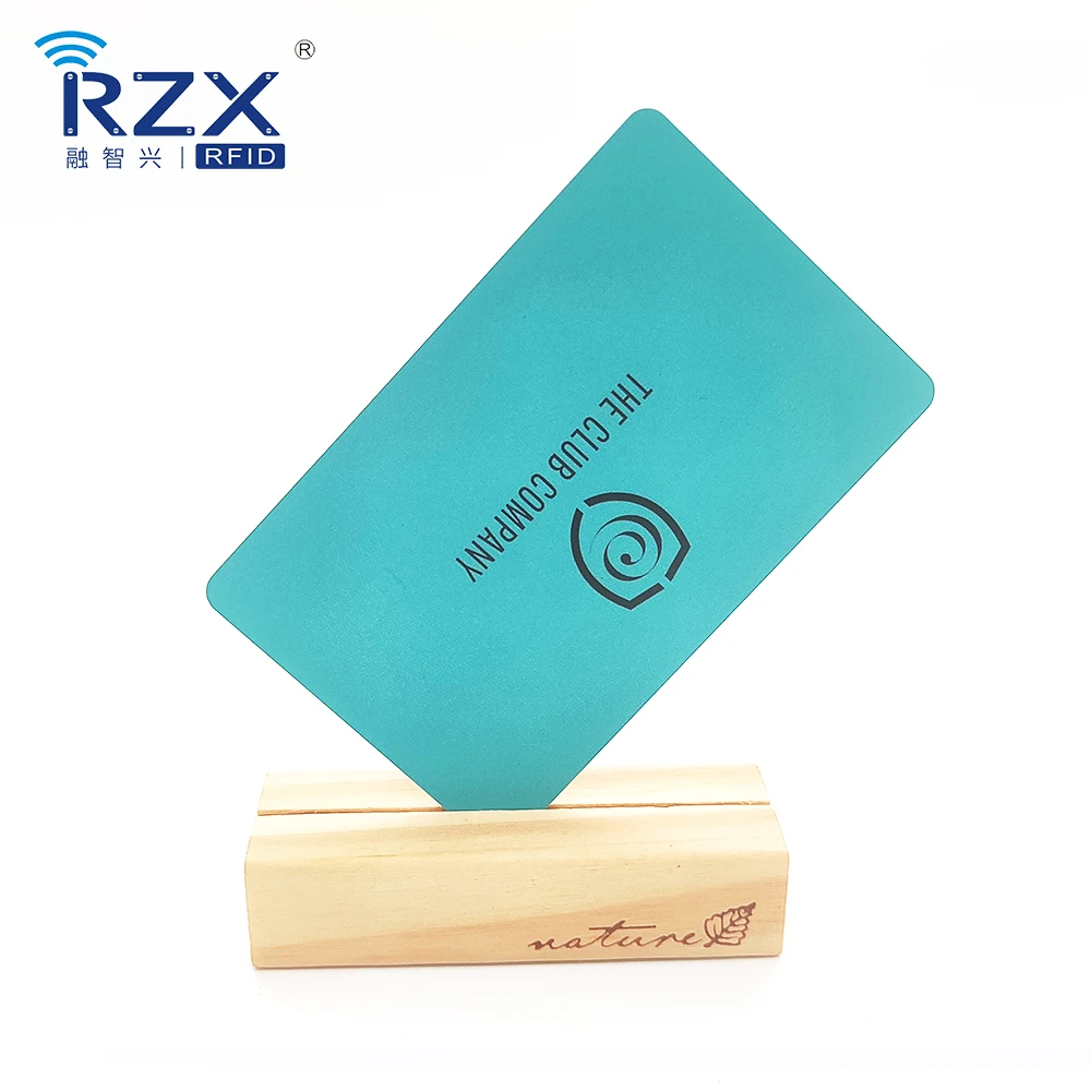 Profession Custom Printing Hico Magnetic Stripe Card for Insurance Card Business Card