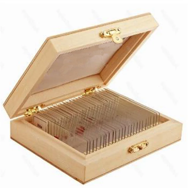 25pcs Hot Sale Mixed Glass Prepared Microscope Slides Set On Plant Animal