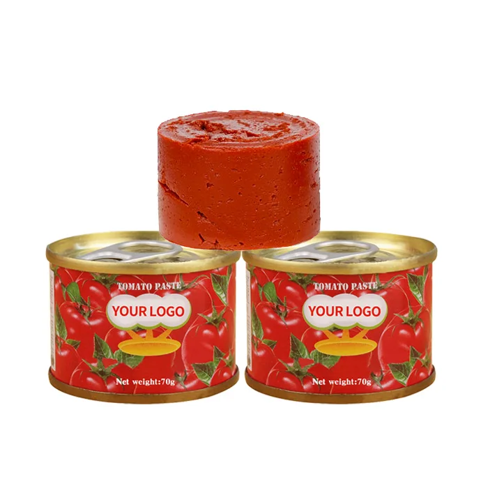 2024 70 g Easy Open Tin Tomato Paste with OEM Brand tomato import paste