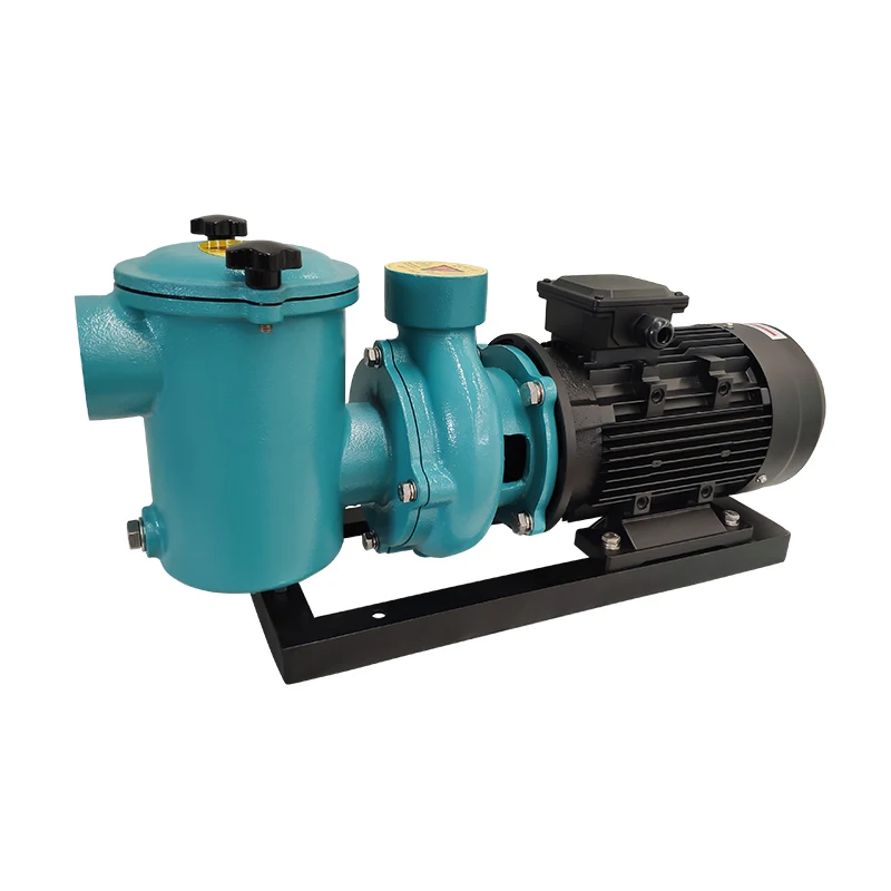 Svadon Swimming Pool Water Pump Air Pump Electric High Speed Variable Pool Pump