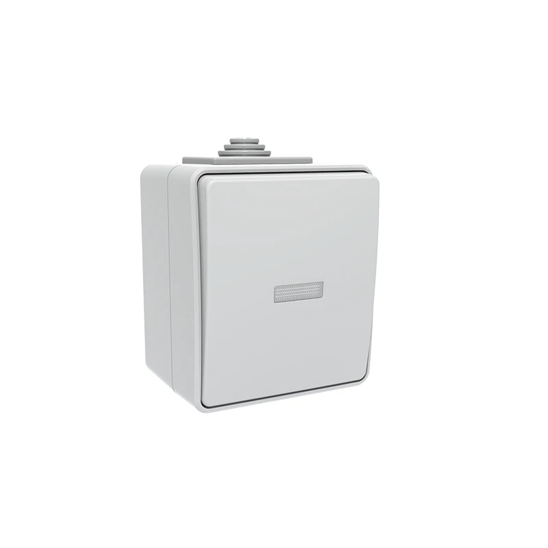 Screwless Terminal 2 Way Light Switch with LED Surface Mounting IP65 electrical socket eu affordable durable wall