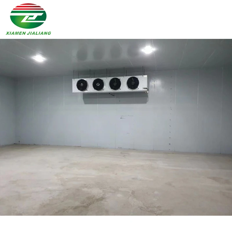 Modern 100 cubic meter cold room fish storage cold room fish cold storage room