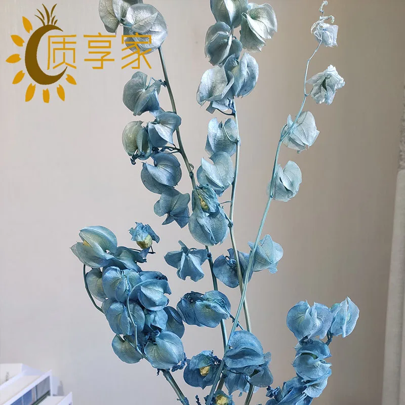 High Quality Immortal Flower Wedding Decoration Preserved Campanula Fruit Wind Chime