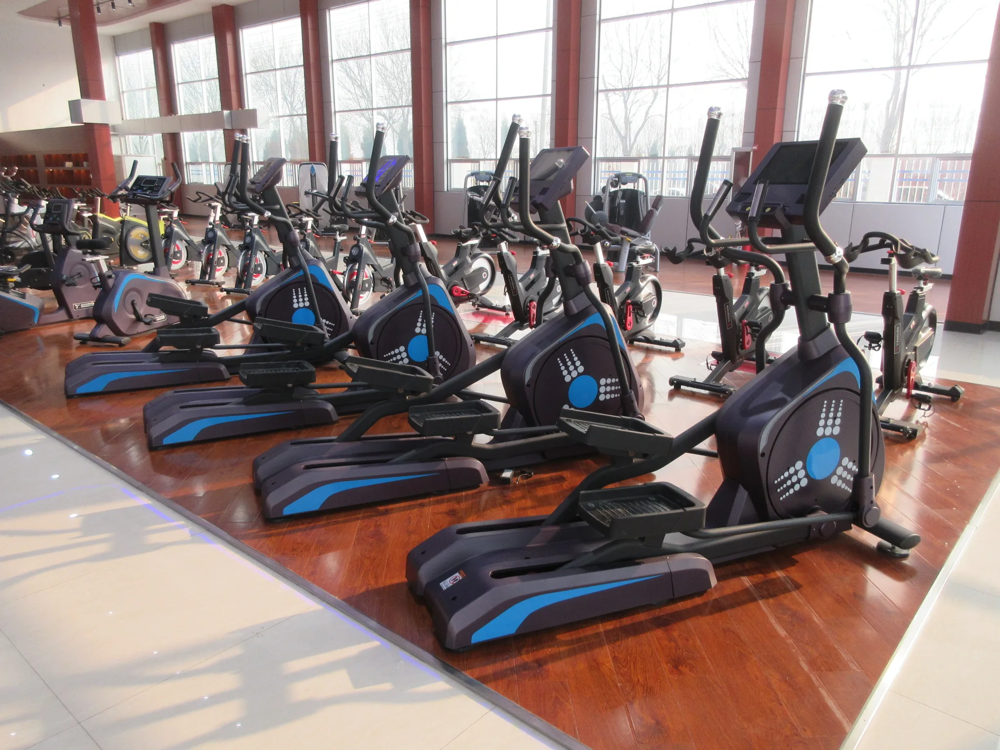 TZ-2020B Commercial Recumbent Bike LED Display with Steel Material for Universal Exercise Applications