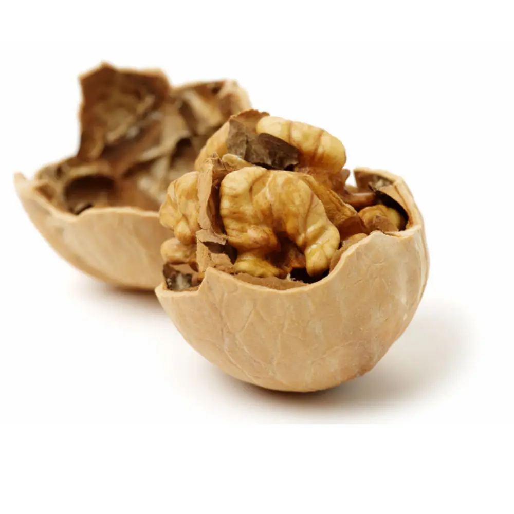 Chinese Raw Walnut Nut with Shell Thin Shell in Bulk Food Wallnut