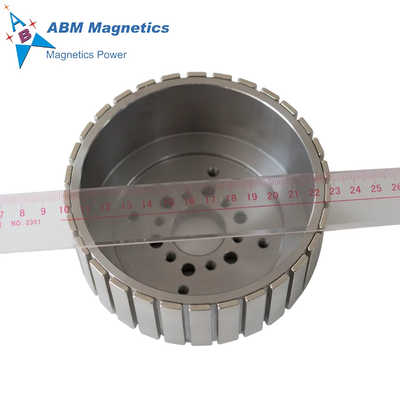 High Rpm Water Pump Magnetic Rotor, Fuel Pump Magnetic Rotor, Oil Pump Ndfeb Magnet Industrial Magnet