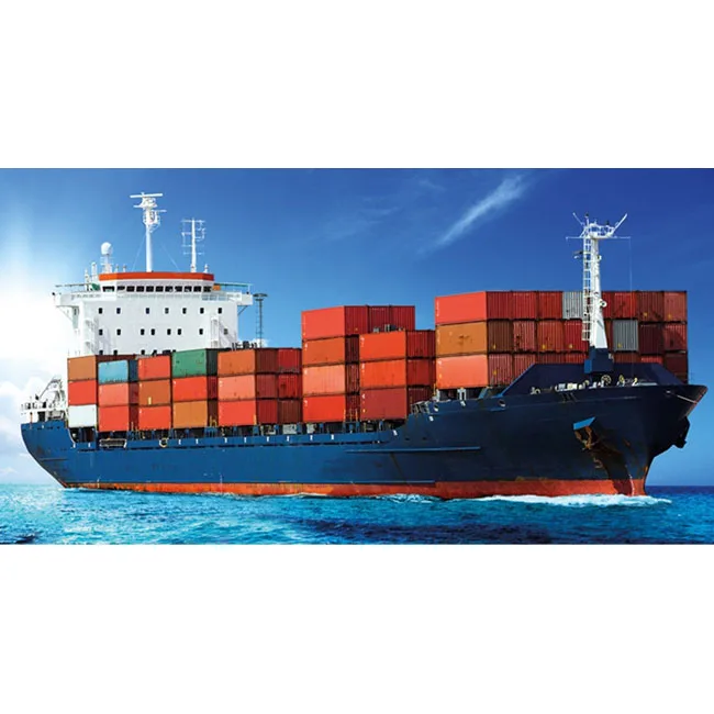 Sea Freight Forwarder DDP Door to Fast Logistic Service Agent Shipping From China NL/LU/CZ/PL/BE Track a Parcel
