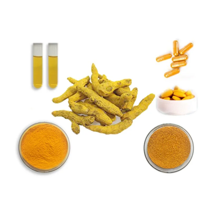 98% Curcumin powder Raw Material for Turmeric Skin Care Food Additives from Turmeric Root Powder Process