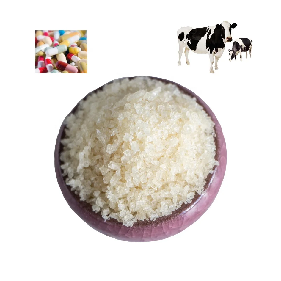 bulk gelatin capsules gelatin capsules medicines 2 metallic gold gelatin capsules