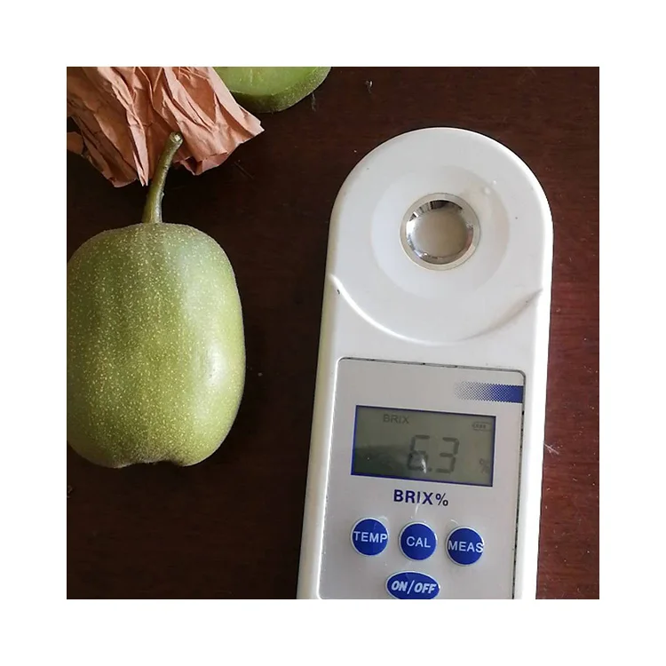 Высокое качество, свежий китайский золотой киви, цены