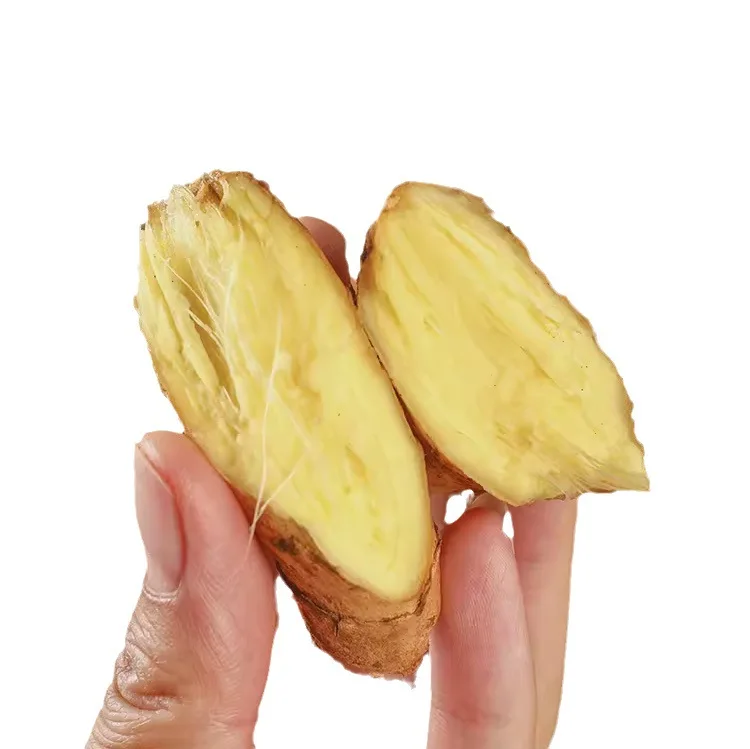 Wholesale Yunnan is digging small yellow ginger fresh from China/fresh ginger