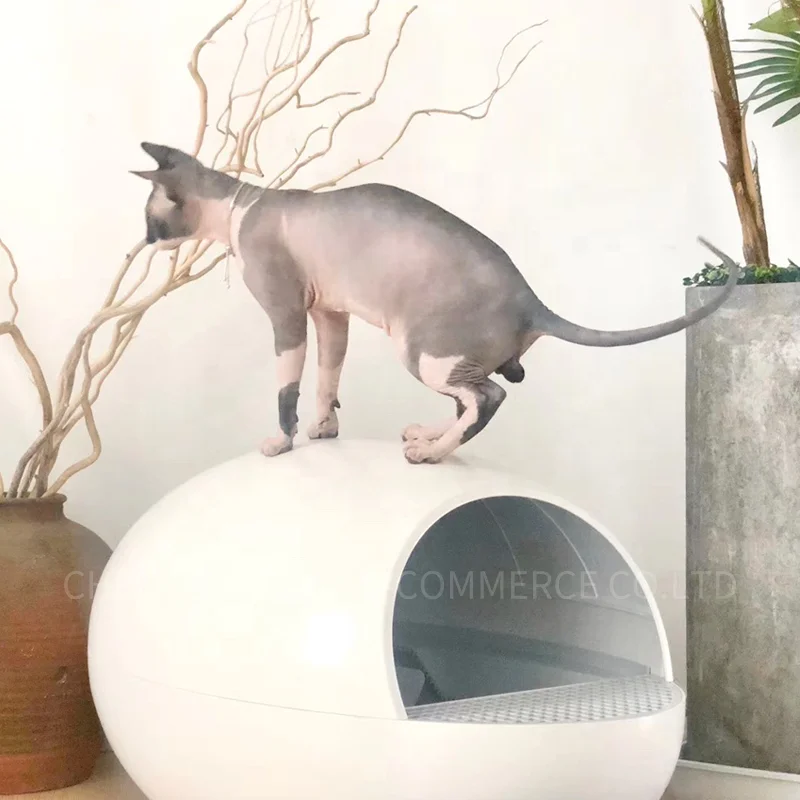 Кошачий наполнитель, автоматический кошачий наполнитель для яиц, кошачий наполнитель, автоматический кошачий наполнитель с автоматическим распознаванием яичного типа, очень тихий