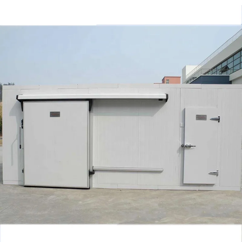 Medium sized sliding door for food preservation heavy duty sandwich panel cold storage door