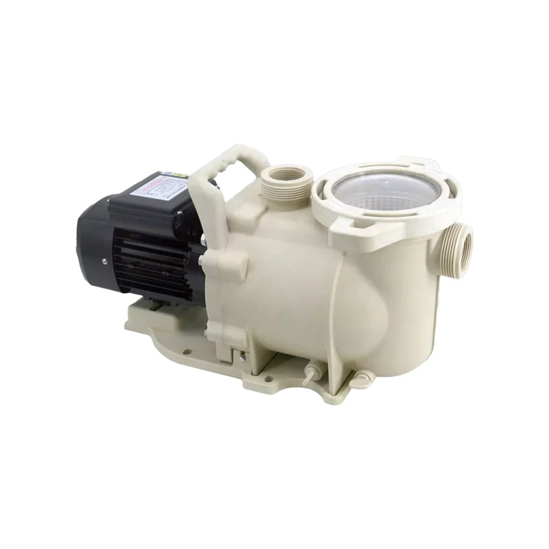 SFP100 1HP durability and good quality pool pumps LX Swimming Pool Pump