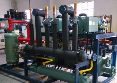 100 sq.m Commercial Vacuum Freeze-Drying Machine Line Pet Food Strawberry Tea