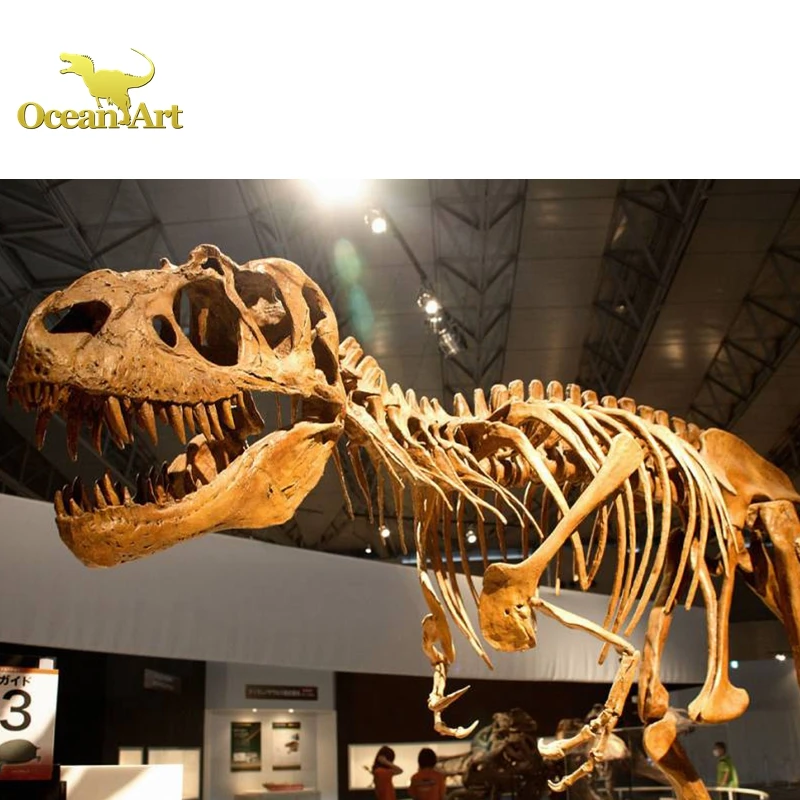 Museum Quality Lifesize 3D Dinosaur Skeleton Sculpture