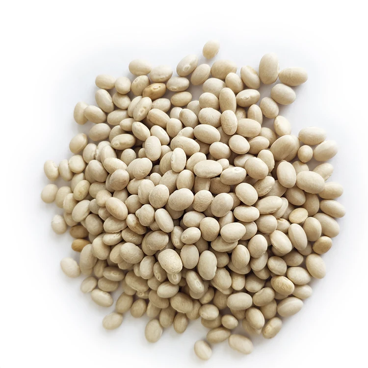 Wholesale Natural High Quality White Navy Kidney Beans