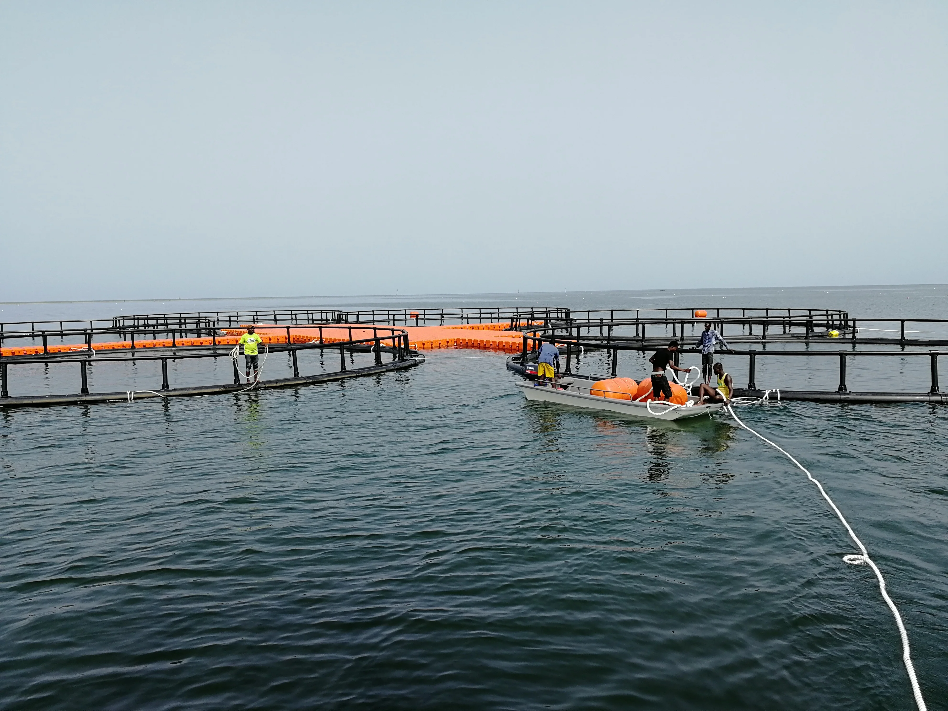 Round Cage in Deep Sea for Salmon Fish Farm