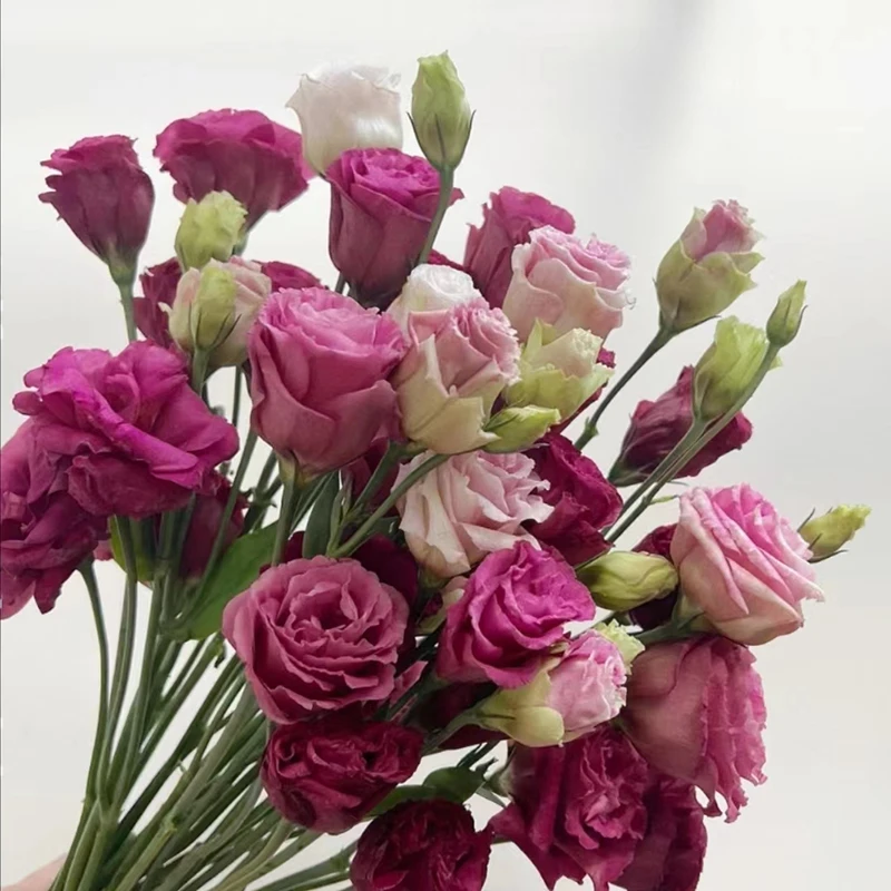 Wholesale Floral Foam Blocks Floral Dry Foam Fresh Cut Flower Eustoma Decor OEM Gray Mother Pcs Color Plants