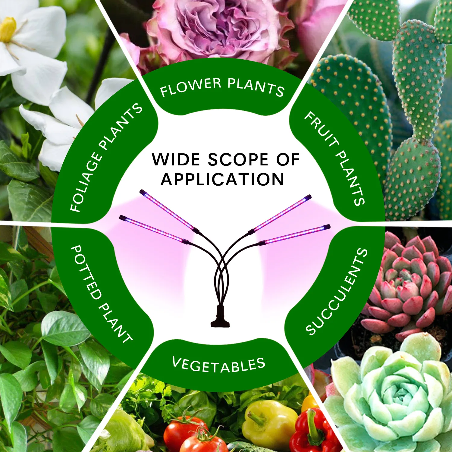 Led Clip Plant Growth Lamp Usb Dimmer Timing Full Spectrum Flower Seedling Fill Light Growing Led Grow Light Plant  growth light