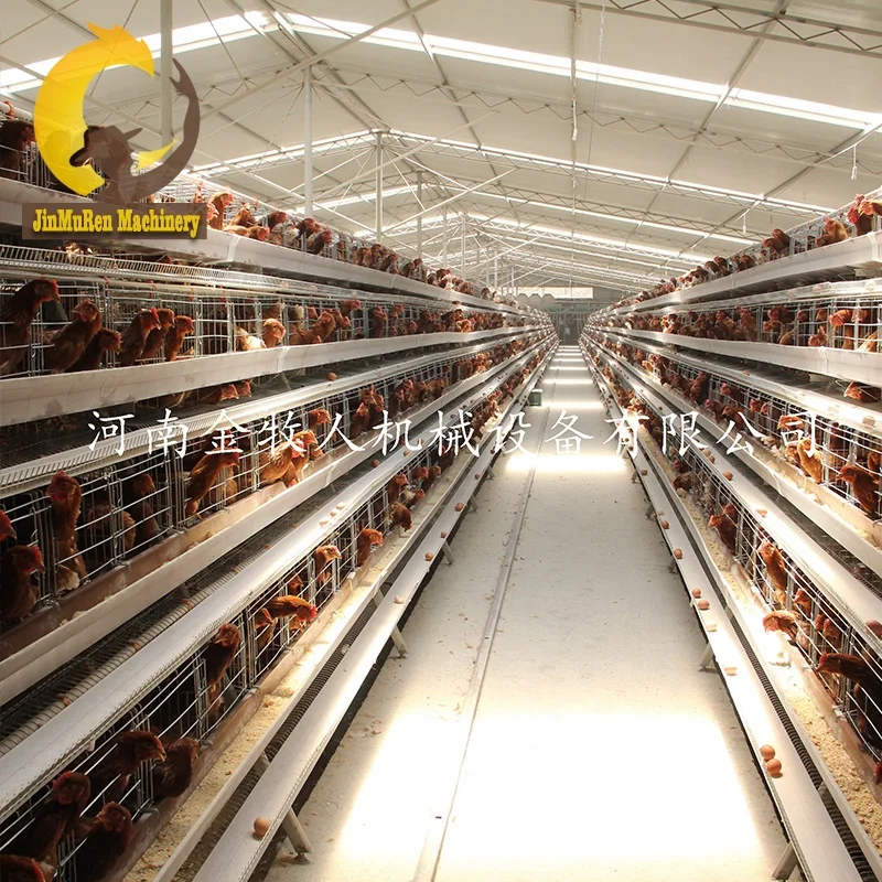 Jinmuren High quality chicken layer cage battery for poultry farming project