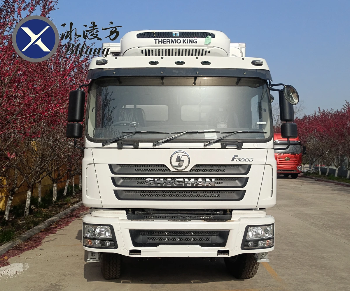 SHACMAN F3000 380hp Thermo King T880E гидравлический задний борт транспортировочный корм для рыбы сохраняет тепло морозильник фургон