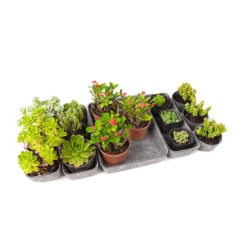 
Wholesale custom design cosmetic storage box felt snack food storage box 