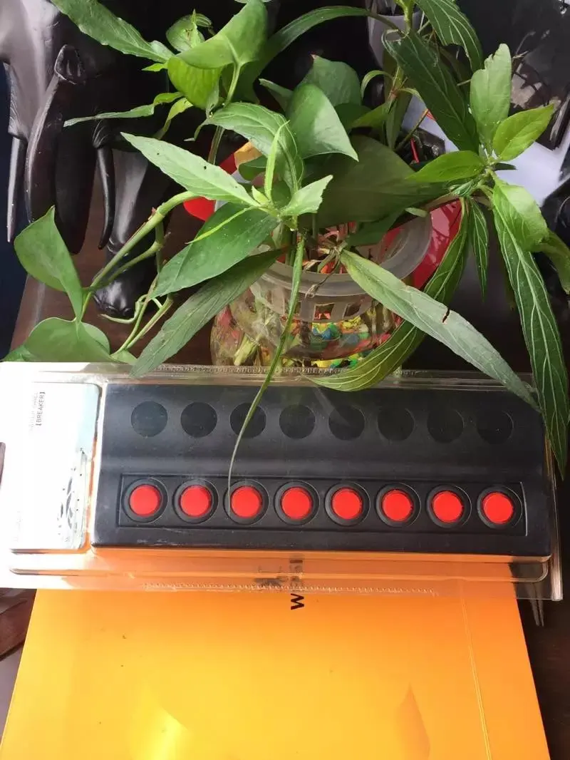 Marine Boat Splashproof Switch Panel 6 Gang With LED Indicator Rocker AUTO Fuses or protect