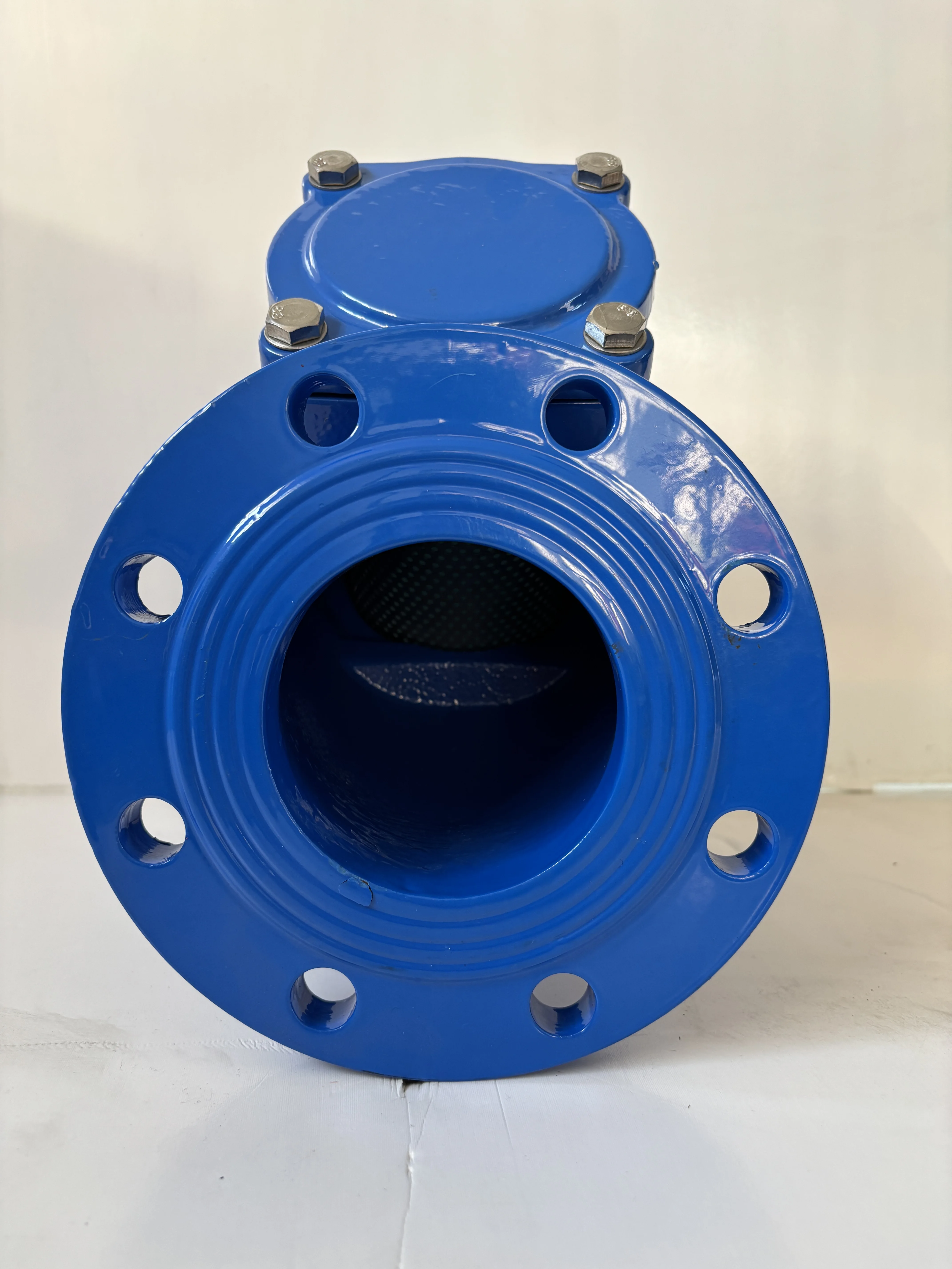 General Application Electric Y-Shaped Check Valve Safety Control Filter for Water Gas Oil-for Gate Valves