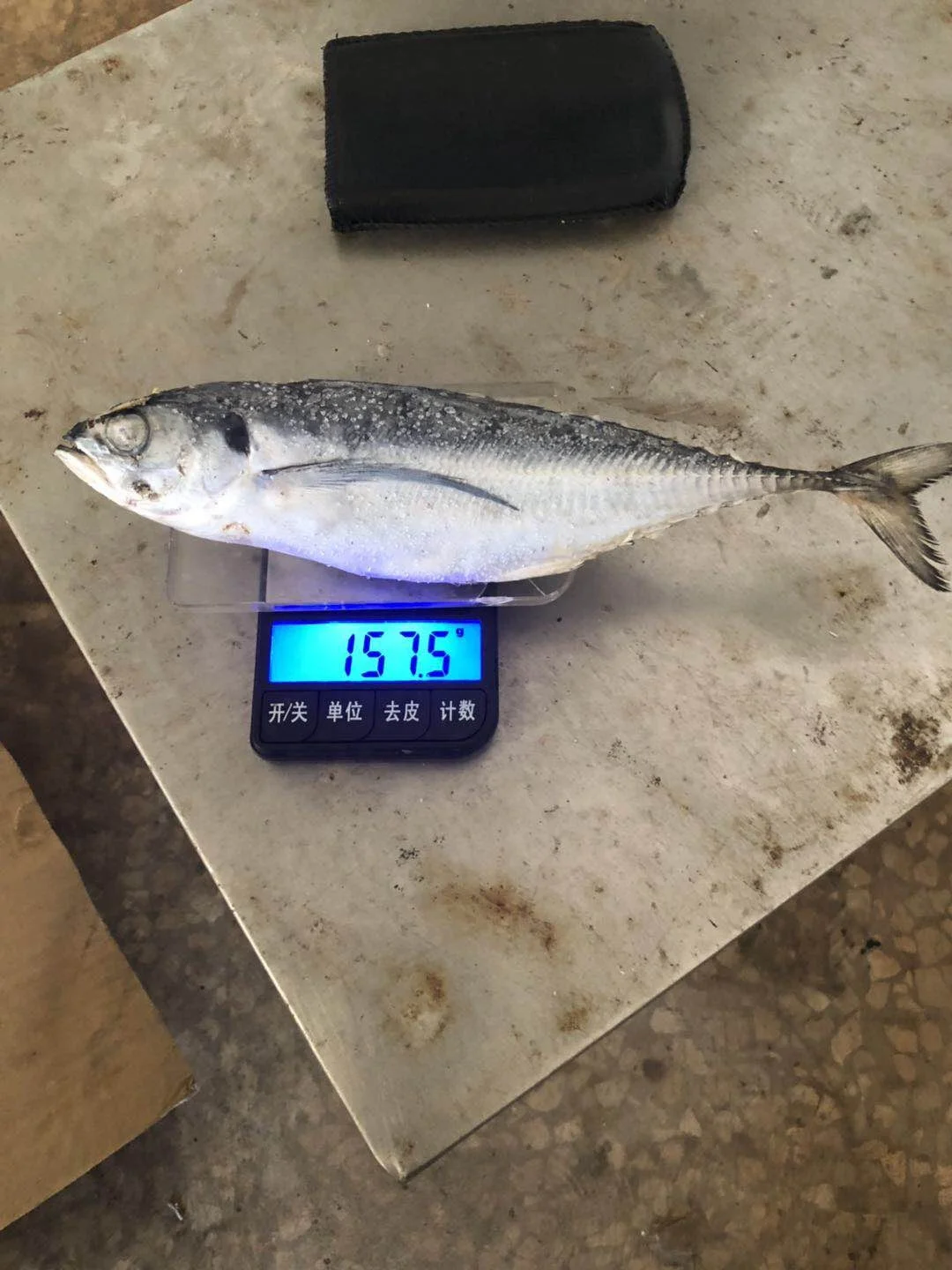 Горячая Распродажа, морепродукты, рыба, замороженный Жесткий Хвост