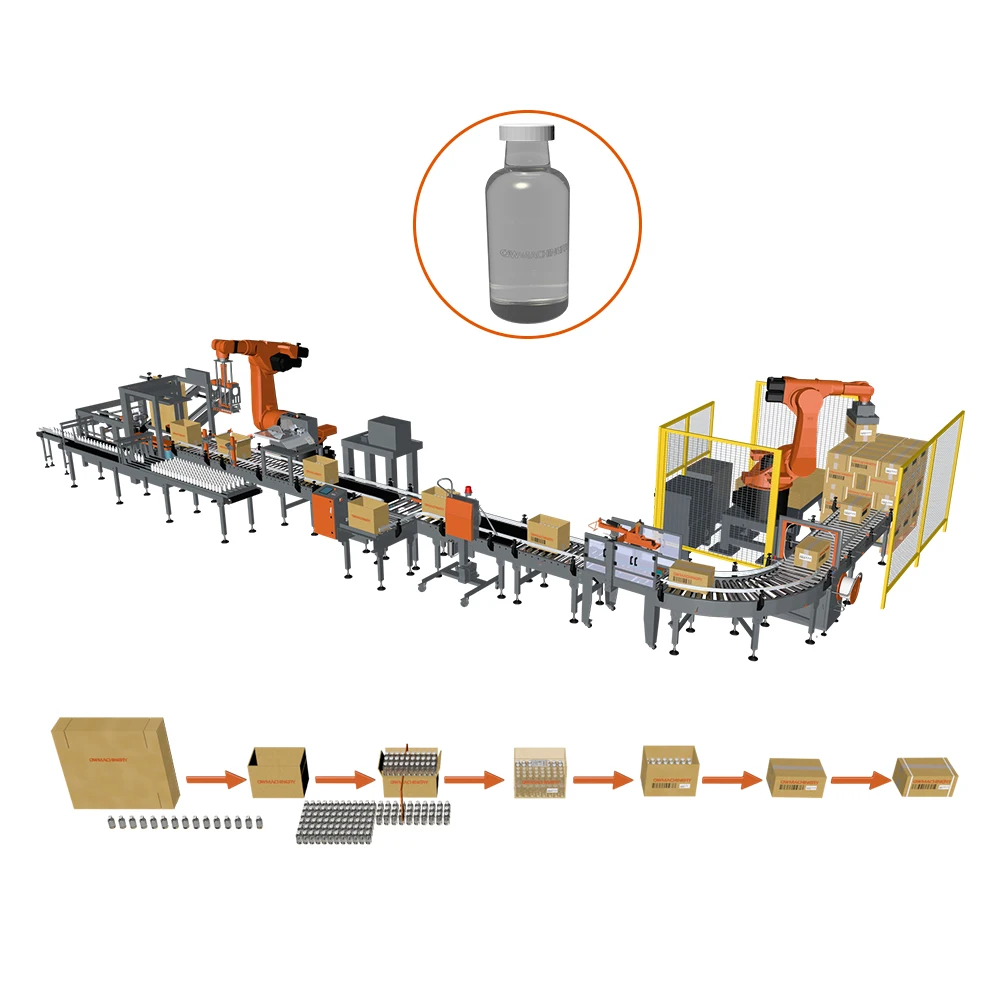 Automatic Drop Type Carton Packer Machine Case Packer For Bottles Cans