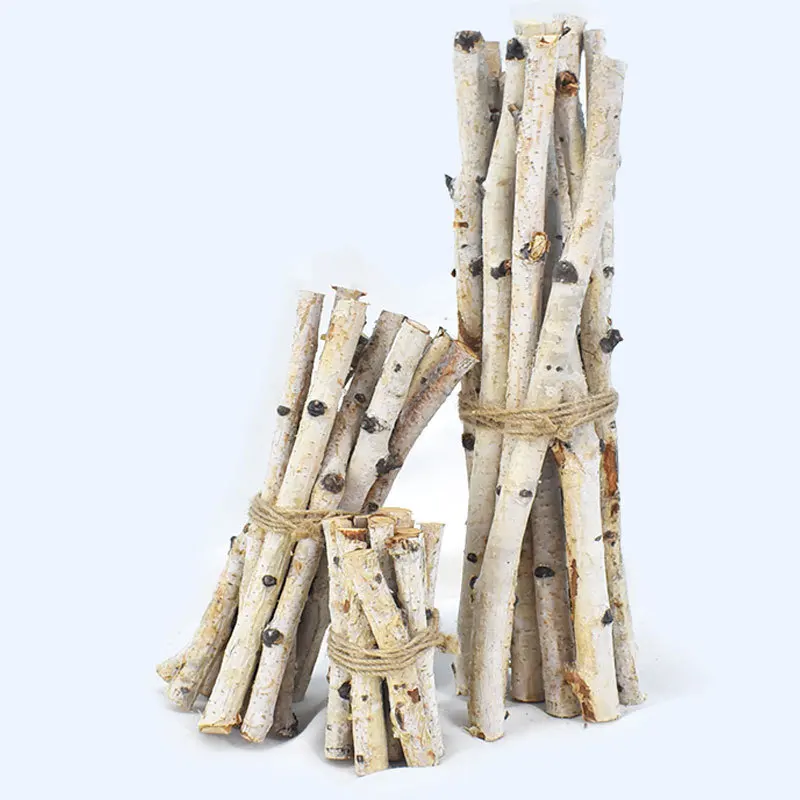 Birch stick decoration, thin branch DIY flower arrangement tree stick, birch stick thin branch