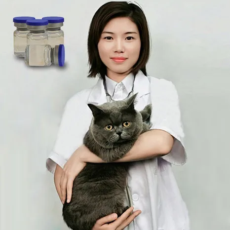 
Top Purity 5ml gs 441 cat fipv Injection gs441 Used to treat cats passing abdomen 