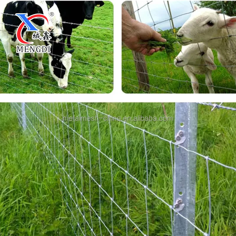 2x2 4x4 hot dipped galvanized welded goat pig cattle fence for animal cage