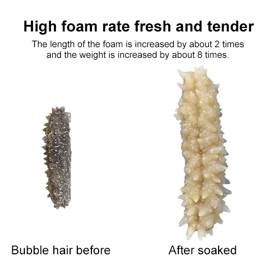 High Quality Wholesale Indonesia Sea Cucumber Dried For Sea Cucumber