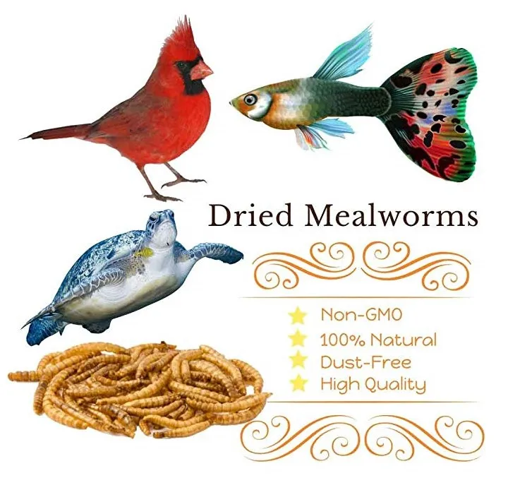  Сохнущий протеин для пищевых продуктов mealworm