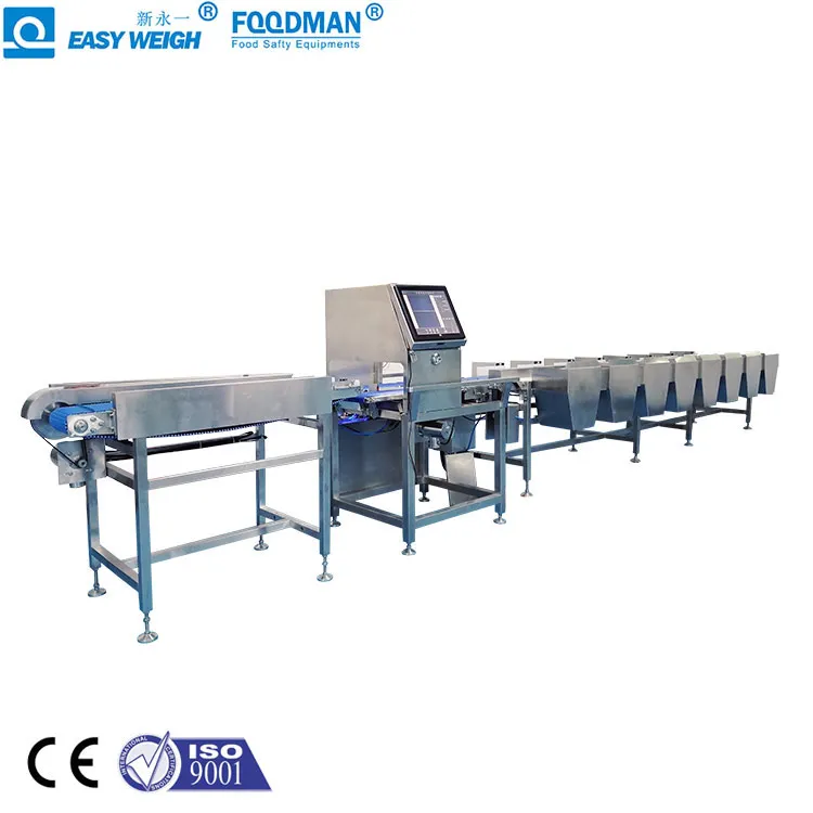 Best Selling Line Automatic Paper-Sorting Machine Small Snail Weight Fish Sorting Machine