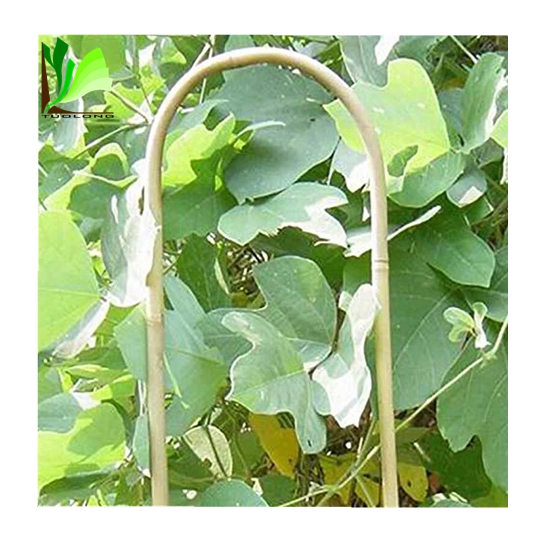 Wholesale Natural Garden Bamboo Trellis