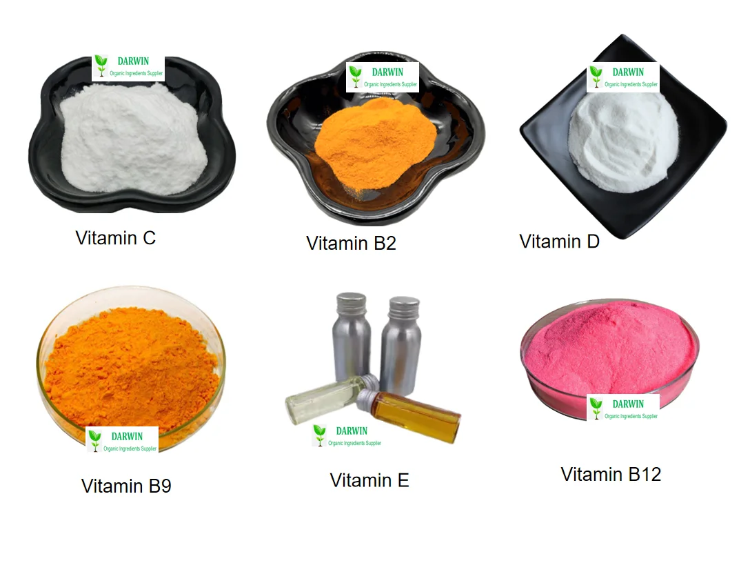 Food Cosmetic Grade Vitamin B3 Powder Niacin Vitamin B3 Niacinamide