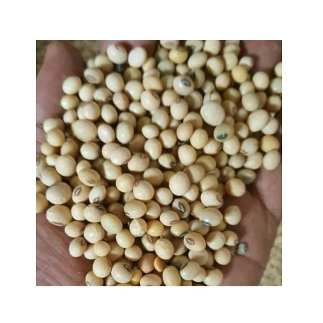 Low Price Fresh Good Hot Sale Dried Bulk Yellow Soybeans Soya Beans From Ethiopia Manufacturers