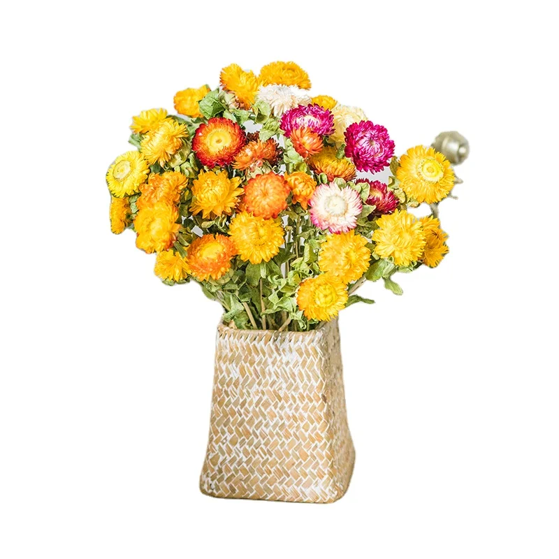 Wholesale 2022 New style preserved flower gifts eternal life flowers straw chrysanthemums Natural dried Strawflower