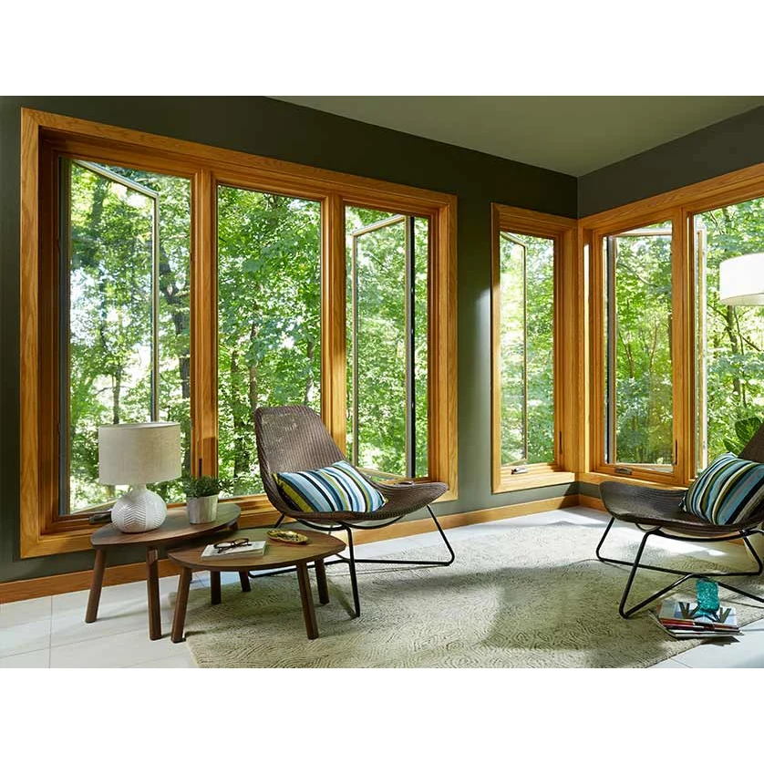Window For House Passive Soundproof Windows Triple Glazed Long-term Durability Others Windows By Integrity