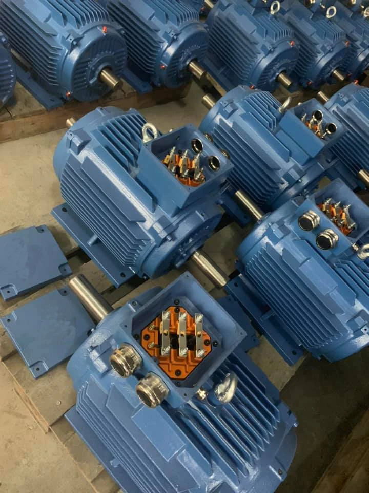 
three-phase induction motor 