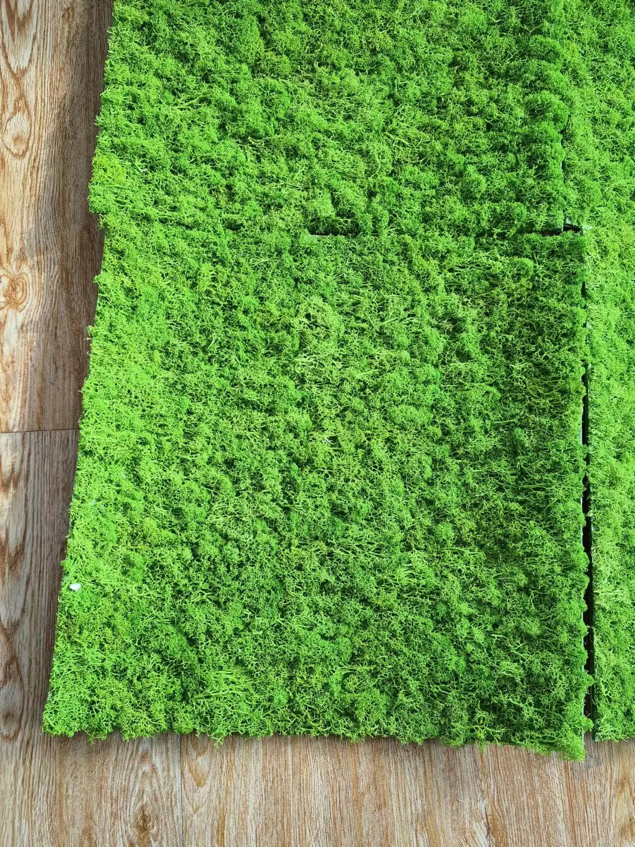 2021 New Christmas product preserved moss panel preserved moss lawn does not lose dust wholesale